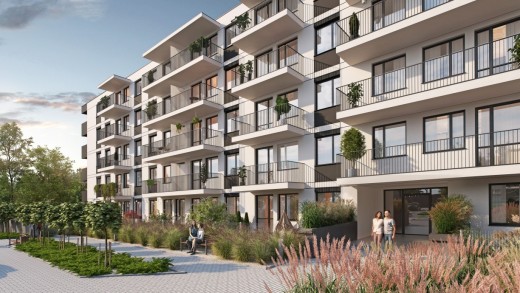 Wiz 8 Tempo 2025 wer 2.jpg